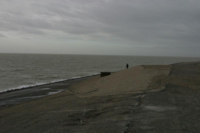 2012-01-21 13-35-23 Ludo.JPG